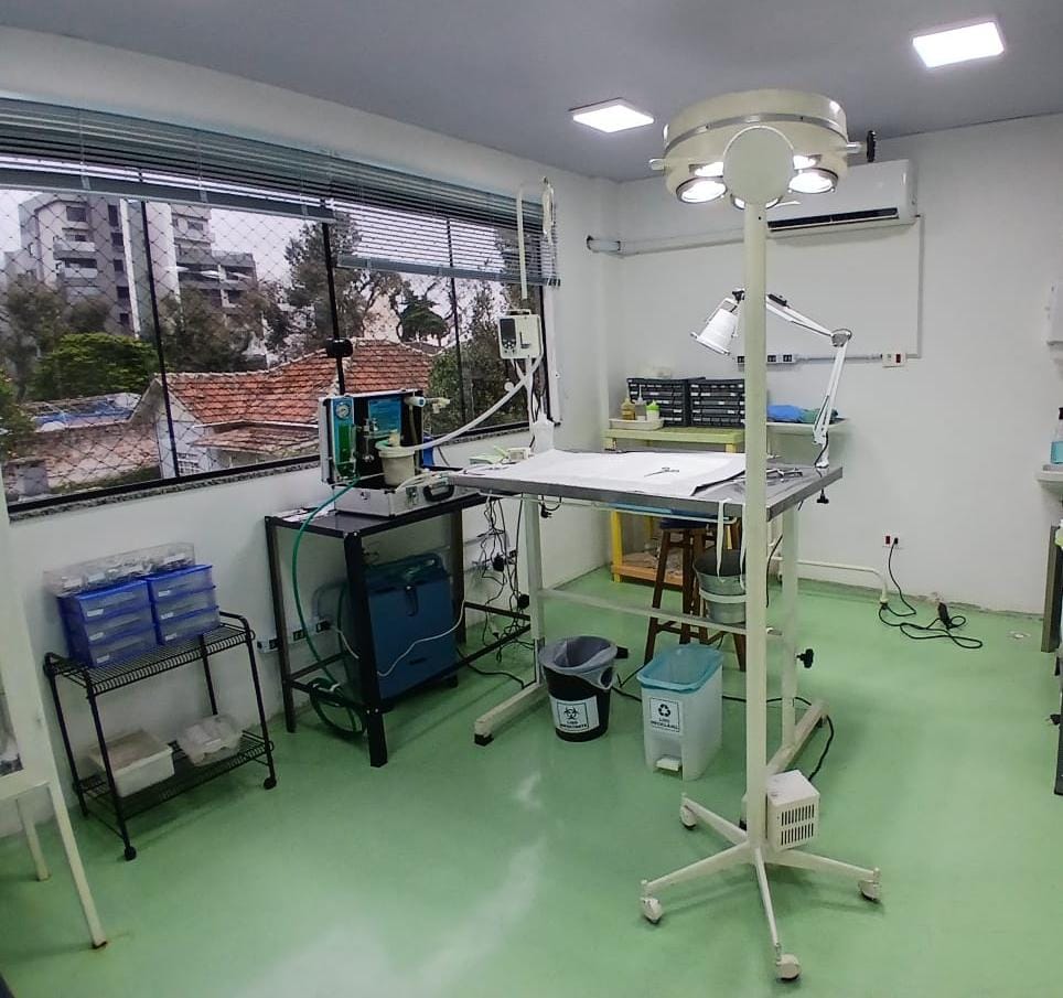 Veterinária atende cães e gatos em domicílio em vários bairros de Curitiba. Consultas agendadas sem emergência.
