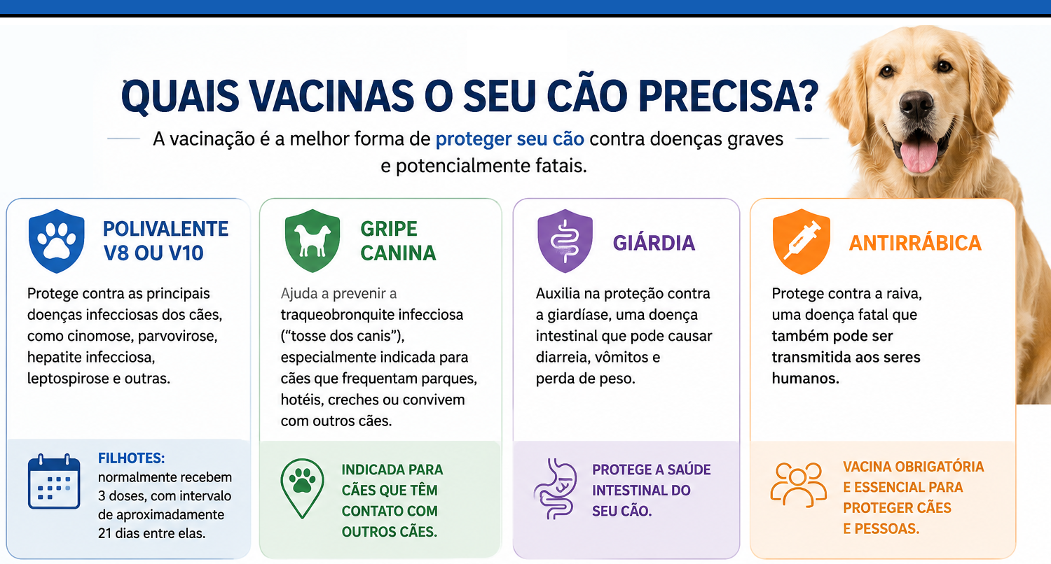 Vacinas para cães