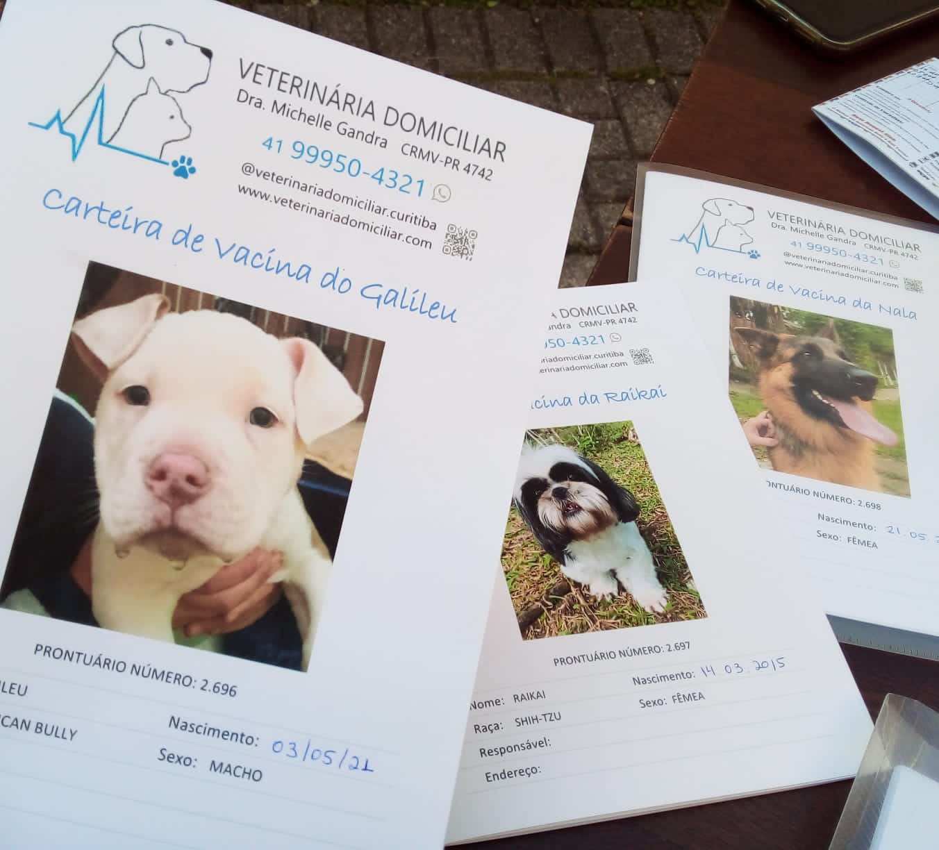 Veterinária atende cães e gatos em domicílio em vários bairros de Curitiba. Consultas agendadas sem emergência.