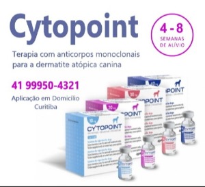 Tratamento com Cytopoint para dermatite atópica canina. Aplicação em domicílio em Curitiba com veterinário.