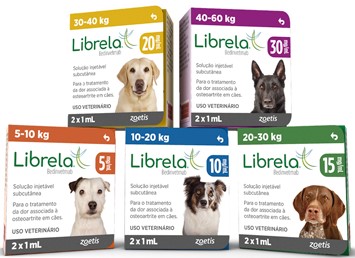 Librela para controle de dor por artrose em cães 